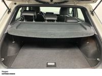 Volkswagen T-Roc - Vorschau Bild 8