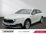 Skoda Octavia Combi Scout 1.5 TSIe DSG LED AHK Pano ST - Skoda Octavia Scout mit Benzin-Antrieb