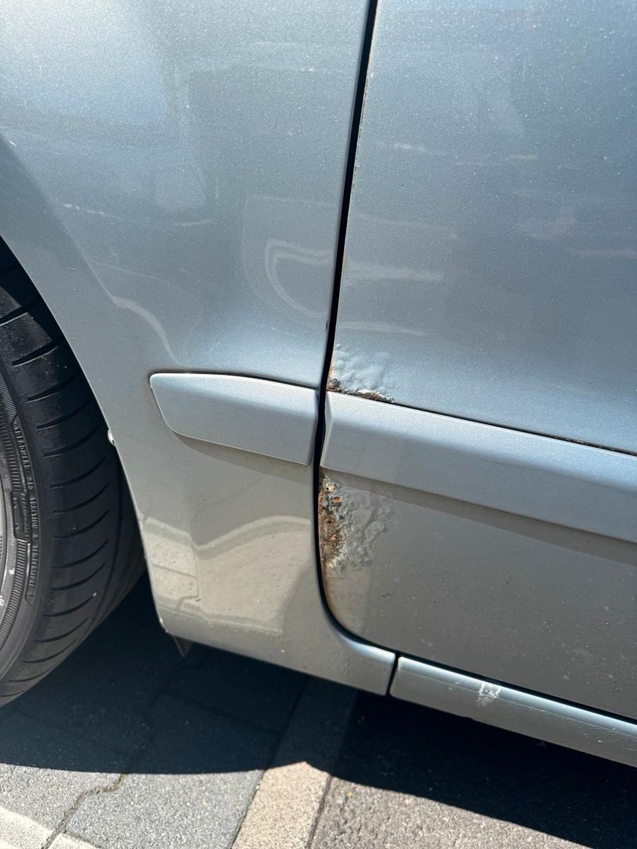 Ford Galaxy 2009 — photo 10