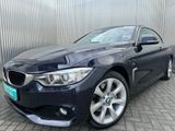 BMW 435 i xDrive Cabriolet Automatik Top Angebot - BMW: Angebot