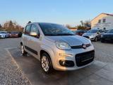 Fiat Panda Lounge Sportsitze Sport Lenkrad - Fiat Panda: Sport