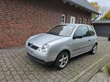 Volkswagen Lupo 1.4 Comfortline Comfortline TÜV 02.2026 - Volkswagen Lupo: Comfortline