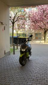 Peugeot Kisbee Streetzone 50, 25 - PEUGEOT 50