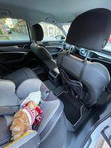 Audi A6 50 TFSI e quattro S tronic sport sport - Audi A6 Sport mit Hybrid-Antrieb (Benzin/Elektro)