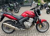 Honda CBF 600 ABS / Top Zustand - HONDA ABS CBF 600