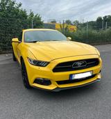 Ford Mustang 2.3 EcoBoost - - Ford in Velbert