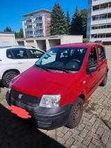Fiat FIAT Panda Active 1.1 8v - Fiat Panda Gebrauchtwagen in Karlsruhe