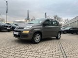 Fiat New Panda Easy 1.2 8V *Klimaanlage PDC DAB+* - Fiat New Panda Gebrauchtwagen