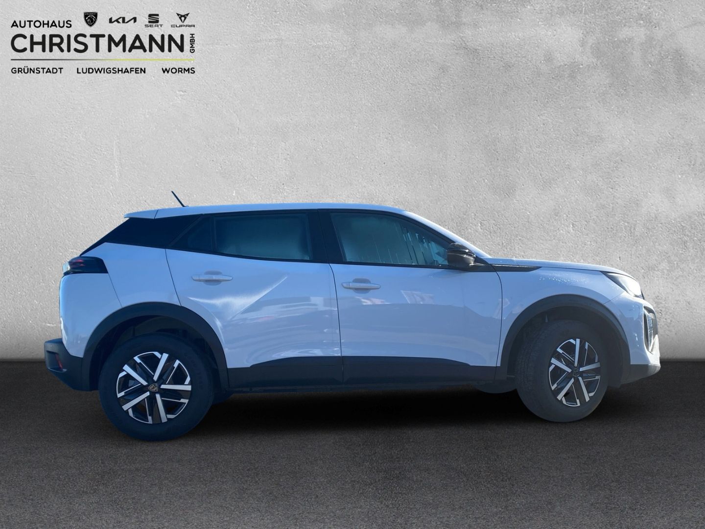Fahrzeugabbildung Peugeot 2008 Active 1.2 PureTech 100 EU6e