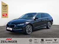 Skoda Octavia - Vorschau Bild 1