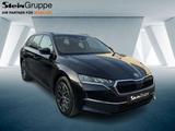 Skoda Octavia Combi 2.0 TDI W Selection DAB+ACC+LED - scheckheftgepflegte Skoda Gebrauchtwagen