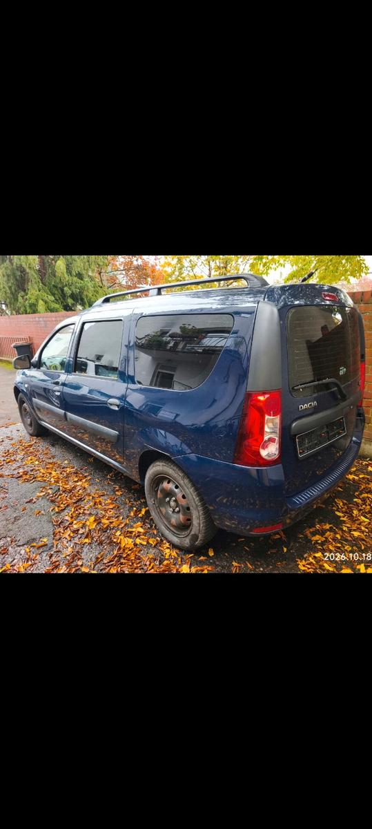 Dacia Logan 2010 — вигляд ззаду