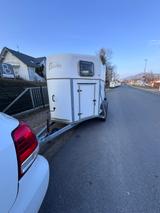 Schmidt 3 Pferdeanhaenger (Pony) - Pferdeanhänger für 3 Pferde