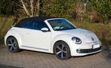 Volkswagen Beetle 1.4 TSI DSG Design Cabriolet Design - : Cabrio, De