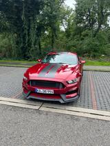 Ford Mustang 2.3 EcoBoost Fastback 