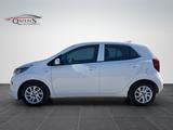 Kia Picanto X-Line 1 Hand AHK Kamara NAVI PDC - Kia Picanto