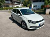 Volkswagen Polo 1.2 TSI 66kW BMT ALLSTAR NAVI - Volkswagen Polo: 6n2