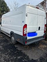 Peugeot Boxer - Peugeot Boxer aus 2011: Van