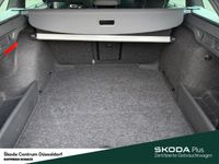 Skoda Octavia - Vorschau Bild 10