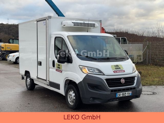 Fiat Ducato 2,3 Mit Thermoking V300 Bis -22,5°C