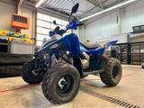 Yamaha Yfm 90 r / Raptor 90 Kinderquad - QUAD 90