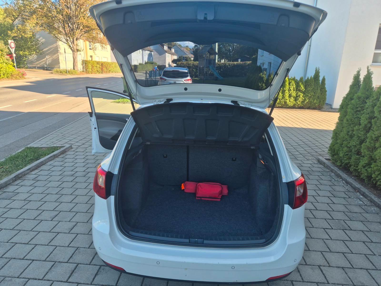Seat Ibiza 2013 — photo 8