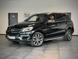 Mercedes-Benz ML 250 CDI  4MATIC Off-Roader*Traum*H&K*AHK*StHz - Mercedes-Benz Ml