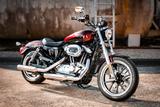 Harley-Davidson XL1200L Sportster 1200 Super Low - Miller - Motorräder in Bonn