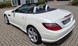 Mercedes-Benz SLK 250 AMG-LINE - Mercedes-Benz: Roadster, Sl