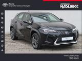 Lexus UX 300e - Lexus UX aus 2022