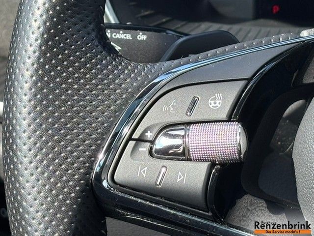 Octavia Combi RS 2.0 TSI PANO AHK CANTON STANDH