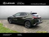 Lexus UX 300h F-Sport Design - Lexus: 300h