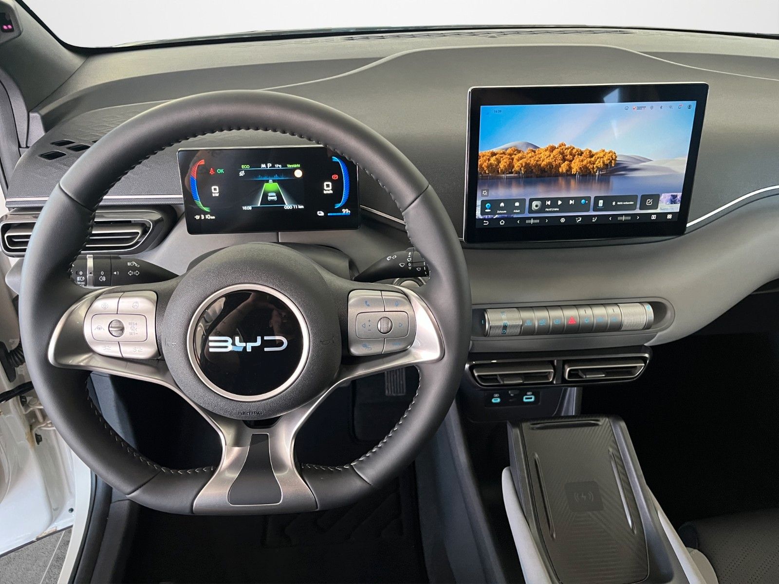 BYD DOLPHIN SURF
