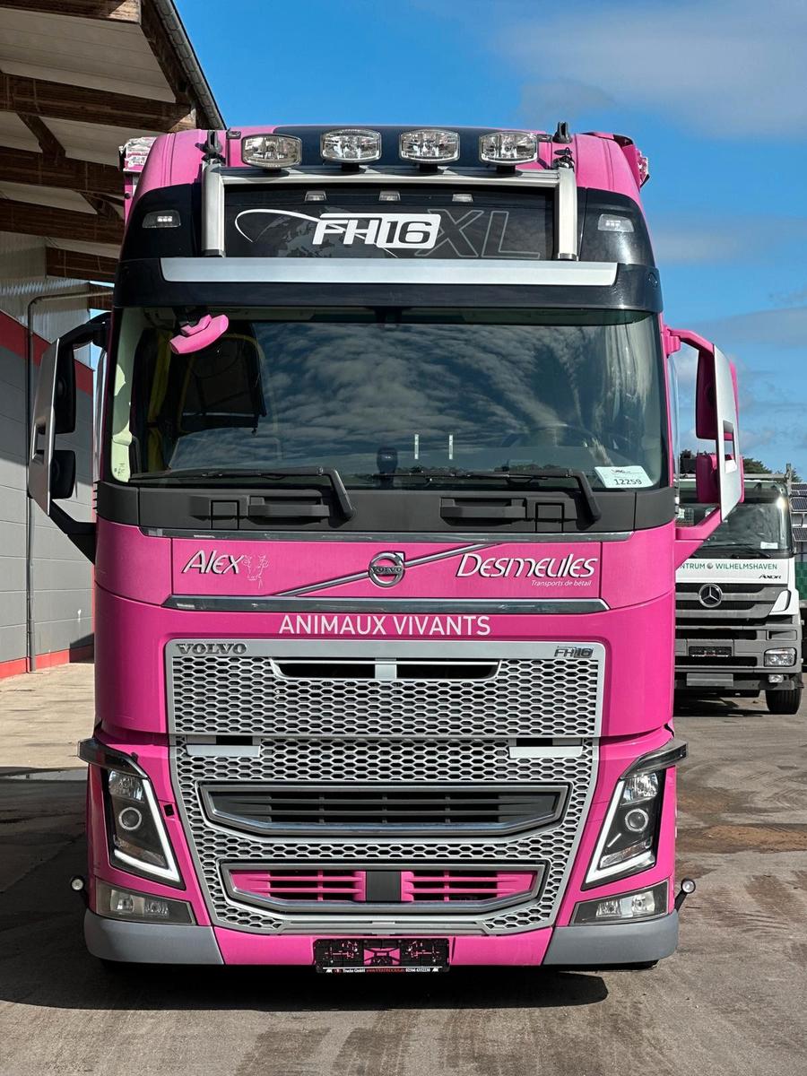 Volvo FH 650 6x2 2.Stock Pezzaioli Viehtransporter