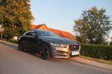 Jaguar XE 25t 250PS R-Sport Automatik R-Sport - Jaguar XE aus 2019