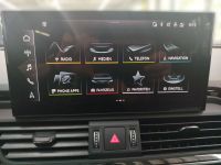 Audi SQ5 - Vorschau Bild 9