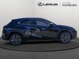 Lexus UX 300h F-Sport Design ACC LENKRADHEIZUNG LED - Lexus UX in Hamburg
