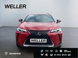 Lexus UX 250h Style Edition *Bi-LED*ACC*CAM*SHZ*CarPla - Lexus aus 2021