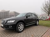 Audi Q5 2.0 TDI  quattro PANO/ - Audi Q5 in Lübeck