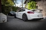 Porsche Cayman GT4 Clubsport, Schalensitze (APPROVED) - Porsche Cayman: Gt4 Clubsport