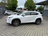 Lexus NX 200 aus Erstbesitz - Lexus: Nx
