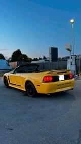 Ford Mustang 3,8L Motor Cabrio (Automatik) - Ford Mustang: Motor