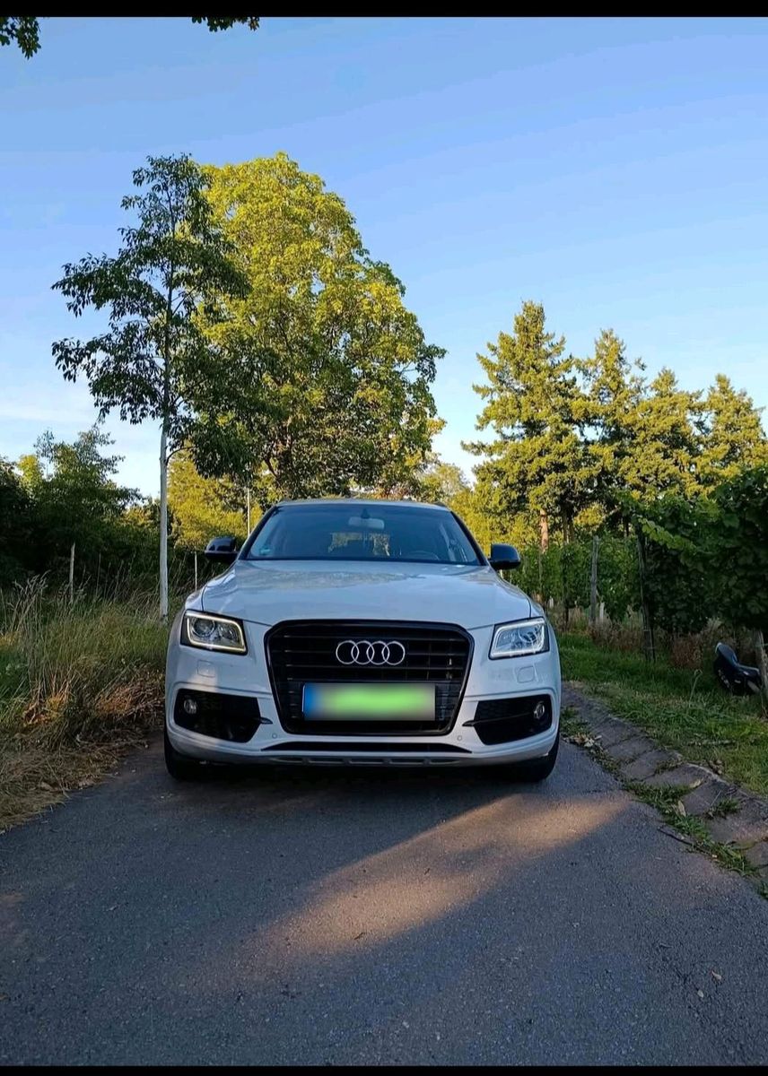 AUDI Wunderschöner Audi Q5