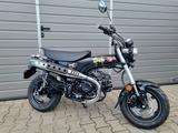 Honda ST 125 Dax *2026 Modell*Neufahrzeug* - Angebote