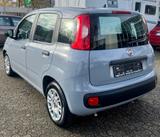 Fiat Panda Base - gebrauchte Fiat Panda aus dem Jahr 2022