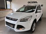 Ford Kuga Sync Edition SPORT/KLIMA/ALU/MFL/PDC/EURO6/ - Ford Kuga: Sync Edition