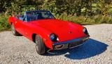 Andere Jensen Healey - Andere mit Benzin-Antrieb: Rot