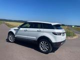 Land Rover Range Rover Evoque 2.2 SD4 Pure