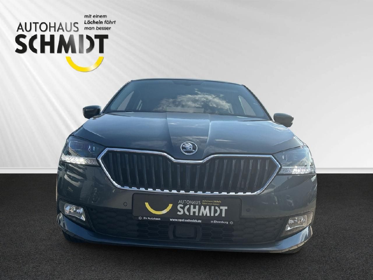 Fahrzeugabbildung SKODA Fabia Soleil