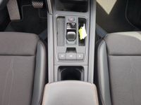 Cupra 